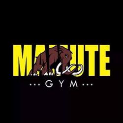 Mamute Gym