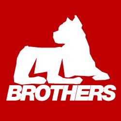 Pitbull Brothers Artes Marciais