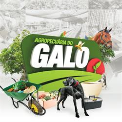 Agropecuária do Galo