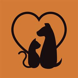 Veterinária Amor de Bicho