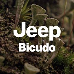 Jeep Bicudo