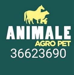 Animale Agro Pet