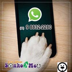 Pet Shop Sonho Meu