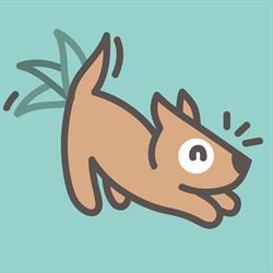 Budapet Shop - Pet shop, creche, venda de filhotes, hospedagem e veterinário.