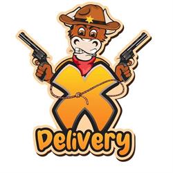X Delivery Farroupilha