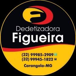 Dedetizadora Figueira Ltda
