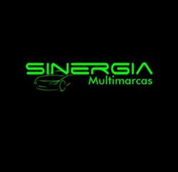 Sinergia Multimarcas - Revenda de Carros