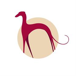 Noah Pet Spa - Reabilitação Veterinária