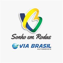 Via Brasil Automoveis