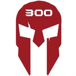 CT 300 - Santo André