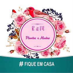R&M Plantas e Mudas
