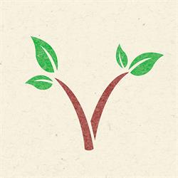 Armazém Viverde - Produtos Naturais