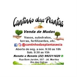 Cantinho das Plantas