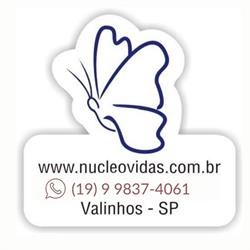 Núcleo Vidas Espaço Terapêutico