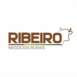 Ribeiro Negócios Rurais