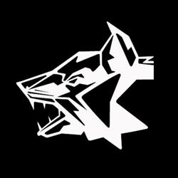 Cyber Fox