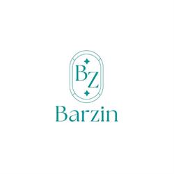 Barzin