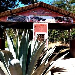 Restaurante Sitio Paraíso Park Club