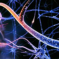 Centro de Neurologia Dr Mauricio Martins Roriz