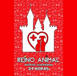 Reino Animal Hospital Veterinário 24 hrs