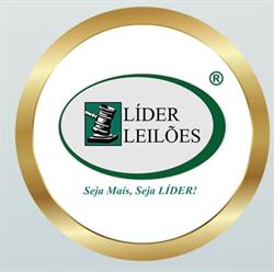 Líder Leilões