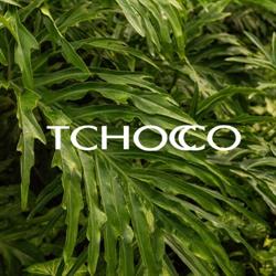 TCHOCCO - Calçados Femininos