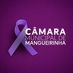 Câmara Municipal de Mangueirinha