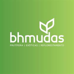 BH Mudas
