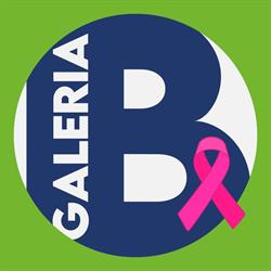 Galeria de Lojas e Serviços Beira Rio