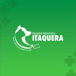 Hospital Veterinário Itaquera
