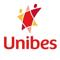 Bazar Unibes - Rodolfo Miranda