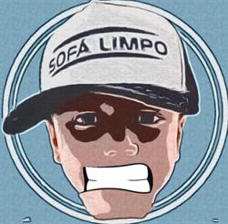 Sofá Limpo