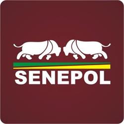 ABCB Senepol