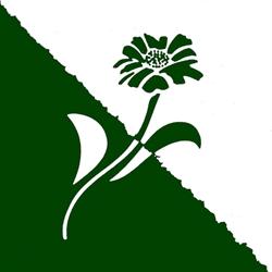 Florais de Minas Ltda
