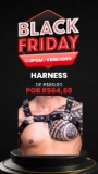 Harness