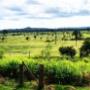 Fazenda a venda no Pará.