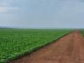 Fazendas à Venda no Maranhão