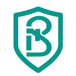 BredurttiBPO Consultoria Assessoria e Gestão Financeira