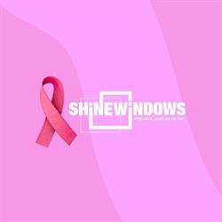 Shine Windows