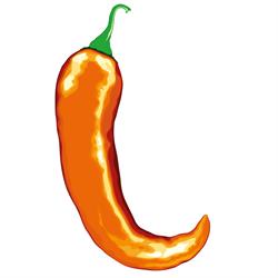 Salsa Nossa Casa
