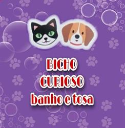 Banho e Tosa Bicho Curioso Ourinhos