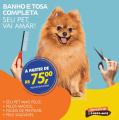 Banho com tosa Completa