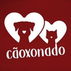 Caoxonado Clinica Veterinaria Unidade Cambui