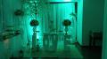 Buffet Betel Festas