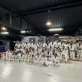 Jiu Jitsu