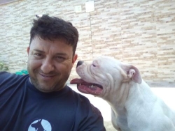 Adestramento de cães rj