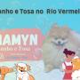 Banho e tosa no rio vermelho