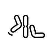 Rib Down