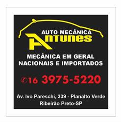 Auto Mecanica Antunes