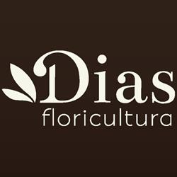 Floricultura Dias